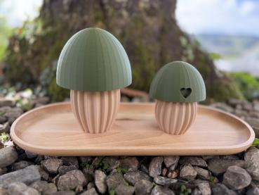 Pilz 2er-Set